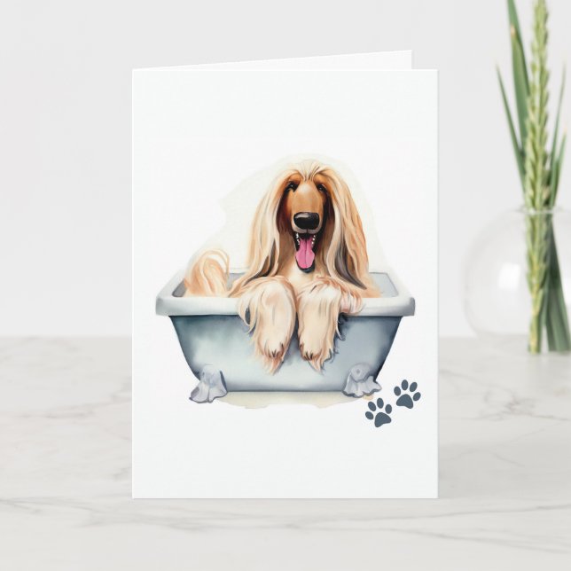 Afghan Hound Dog Folded Greeting Card (Front)