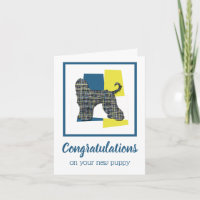 Afghan Hound Dog Funny Congratulations Greeting