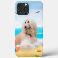Afghan Hound Dog on Beach