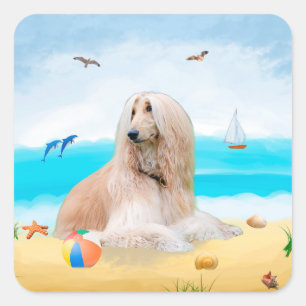 Afghan Hound Dog on Beach Square Sticker