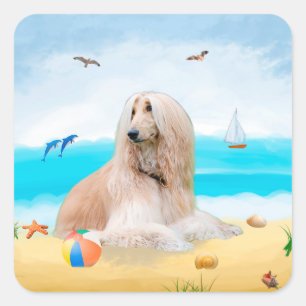 Afghan Hound Dog on Beach Square Sticker