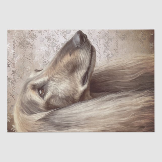 Afghan Hound Dog Tissue Paper (Front)
