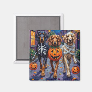 Afghan Hound Dogs Trick-or-Treating in Halloween Magnet