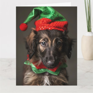 Afghan Hound Elf Puppy Christmas Card 