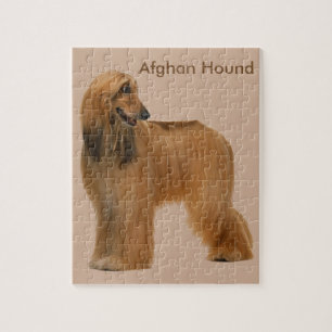 AFGHAN HOUND JIGSAW PUZZLE