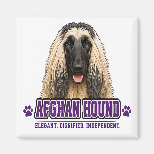🐾 Afghan Hound Lover 🐾 Magnet (Front)