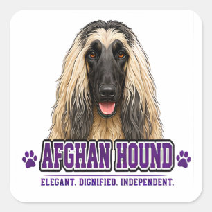 🐾 Afghan Hound Lover 🐾 Square Sticker