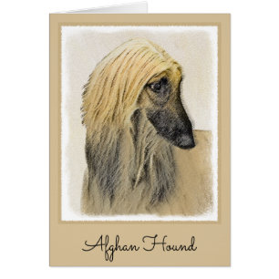 Afghan Hound Painting - Cute Original Dog Art