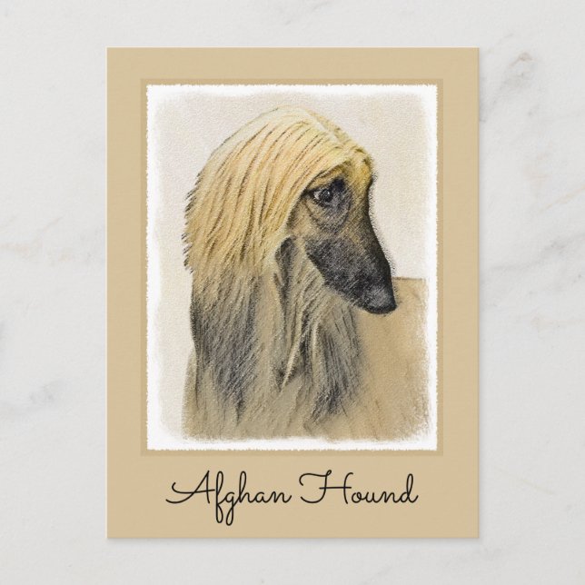 Afghan Hound Painting - Cute Original Dog Art Postcard (Front)