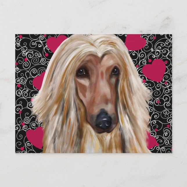 Afghan Hound   Postcard (Front)
