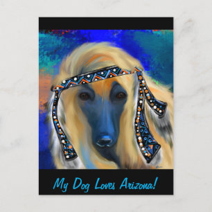 Afghan Hound       Postcard