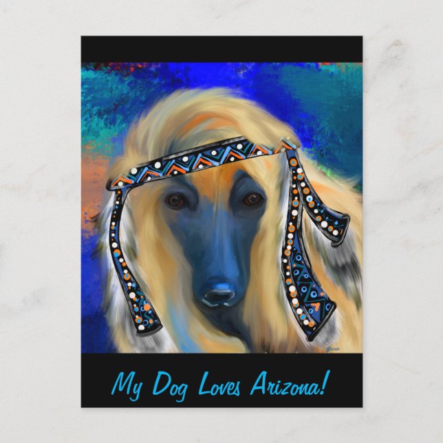 Afghan Hound       Postcard (Front)