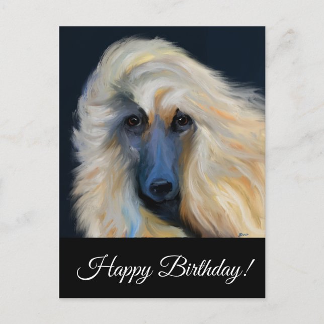 Afghan Hound          Postcard (Front)