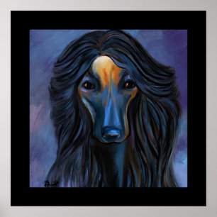 Afghan Hound  Poster