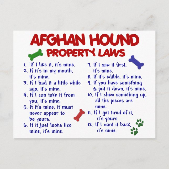 Afghan Hound Property Laws 2 Postcard (Front)
