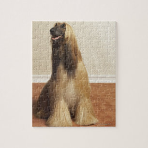 Afghan hound sitting in room 2 jigsaw puzzle