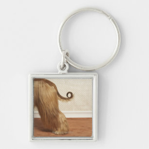 Afghan hound standing in room, end section key ring
