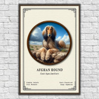 Afghan Hound Zoology Series