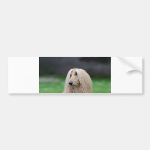 afghan-laying bumper sticker