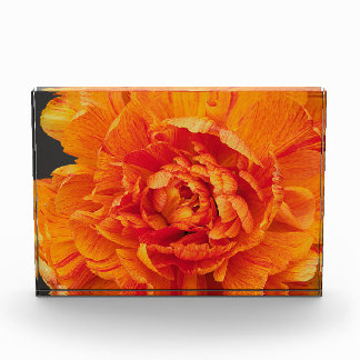 Aflame Photo Block