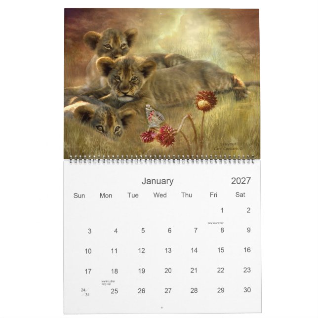 Africa 2011 Art Calendar (Jan 2027)