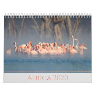 Africa 2020 Wildlife Calendar