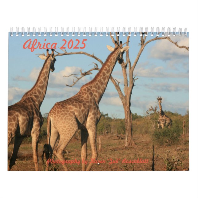 Africa - 2025 Calendar (Cover)