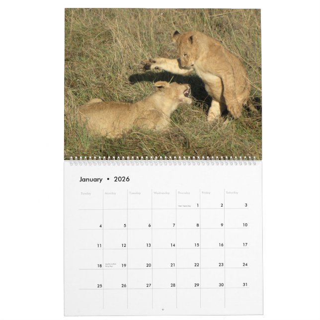 AFRICA - A Million Animals Calendar 2014 (Two-Page (Jan 2026)