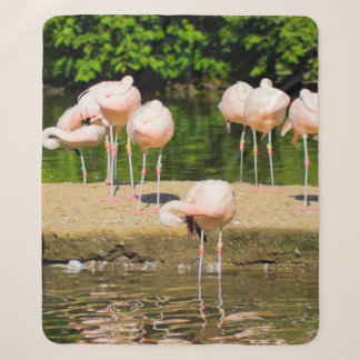 Africa African Animal Beak | Funny Flamingo Lovers Sherpa Blanket