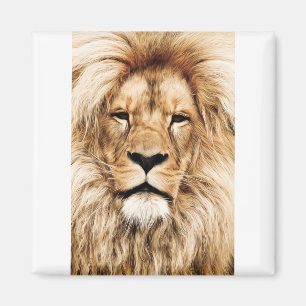 Africa African Animal Lion Close-Up Detail Eye Magnet