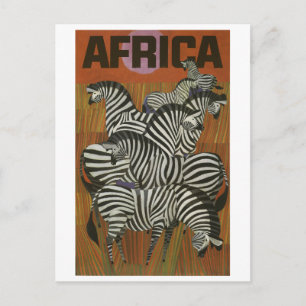 Africa, African Zebra, Savannah, vintage travel Postcard