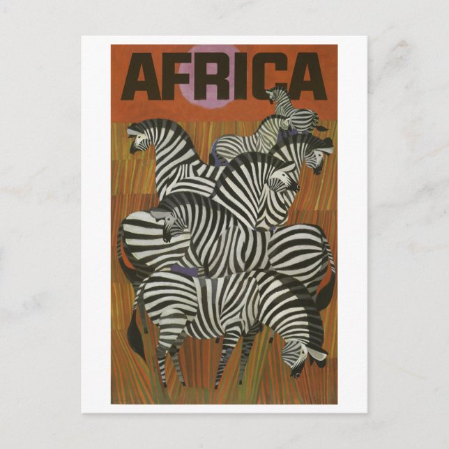 Africa, African Zebra, Savannah, vintage travel Postcard (Front)