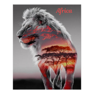 Africa - An illustration of a Lion Poster