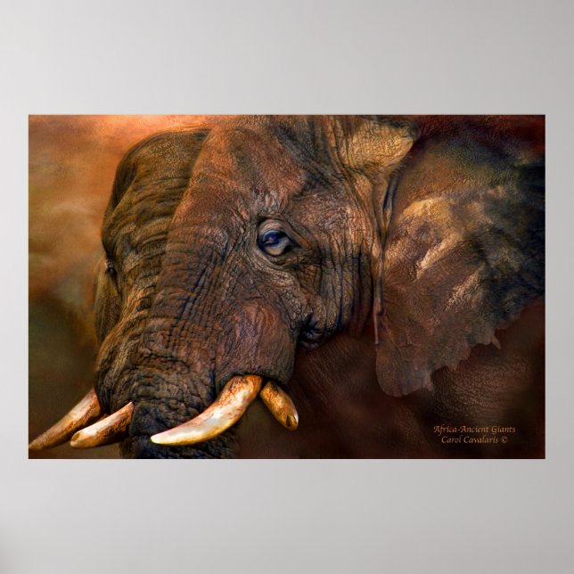 Africa-Ancient Giants Art Poster/Print Poster (Front)