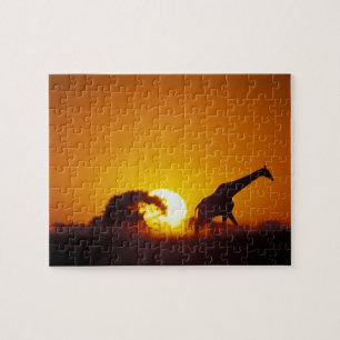 Africa, Botswana, Chobe National Park, Giraffe 2 Jigsaw Puzzle
