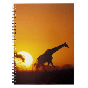 Africa, Botswana, Chobe National Park, Giraffe 2 Notebook