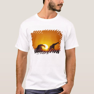 Africa, Botswana, Chobe National Park, Giraffe 2 T-Shirt