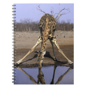 Africa, Botswana, Chobe National Park, Giraffe Spiral Notebook