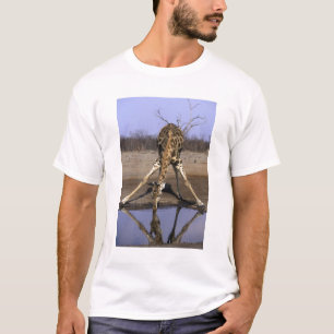 Africa, Botswana, Chobe National Park, Giraffe T-Shirt