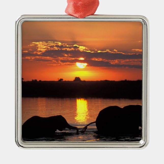 Africa, Botswana, Chobe National Park, Herd Metal Tree Decoration (Front)