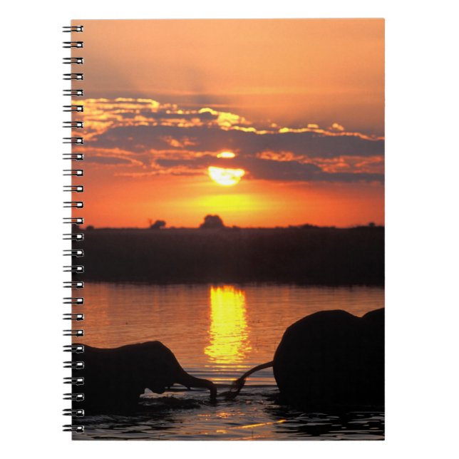 Africa, Botswana, Chobe National Park, Herd Notebook (Front)