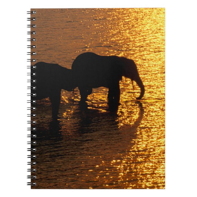 Africa, Botswana, Okavango Delta. African Spiral Notebook (Front)