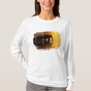 Africa, Botswana, Okavango Delta. African T-Shirt