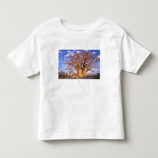 Africa, Botswana, Okavango Delta. Baobab Toddler T-Shirt (Front)
