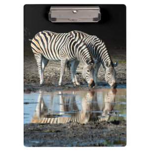Africa,Botswana, Okavango Delta, Davison Camp Clipboard