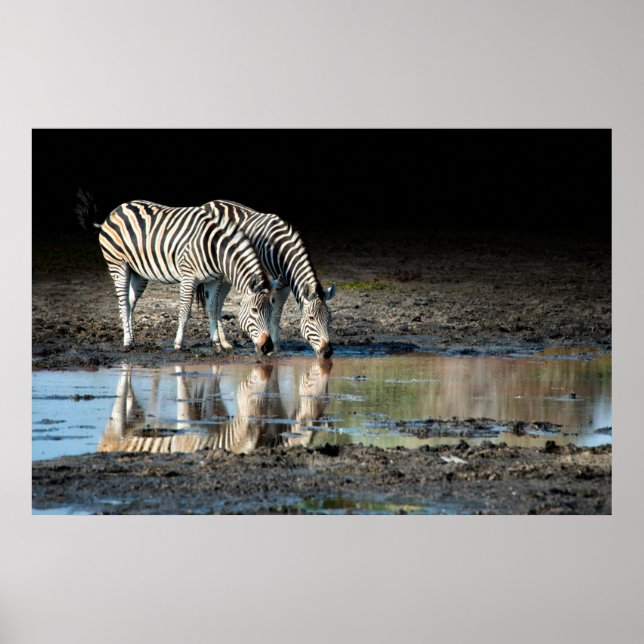 Africa,Botswana, Okavango Delta, Davison Camp Poster (Front)