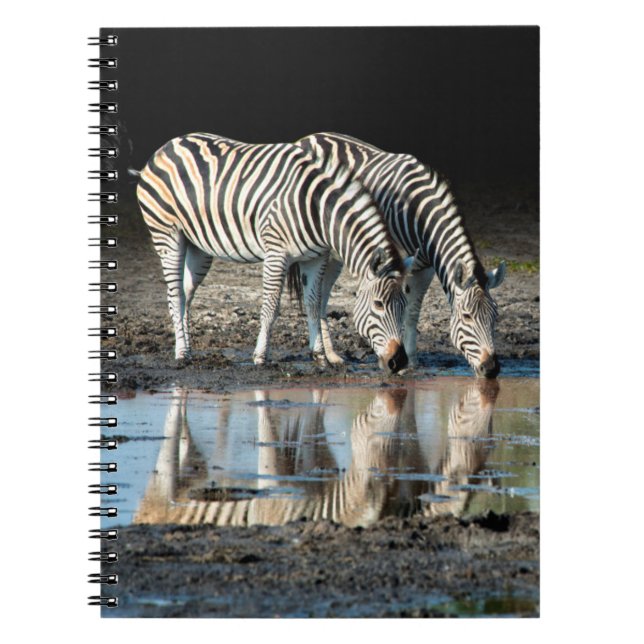 Africa,Botswana, Okavango Delta, Davison Camp Spiral Notebook (Front)