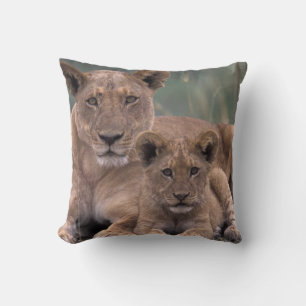 Africa, Botswana, Okavango Delta. Lions Cushion