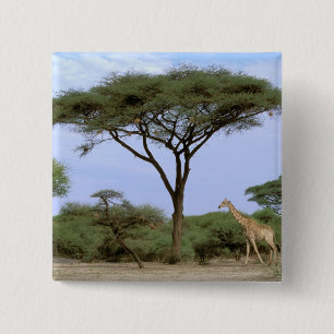 Africa, Botswana, Okavango Delta. Southern 15 Cm Square Badge