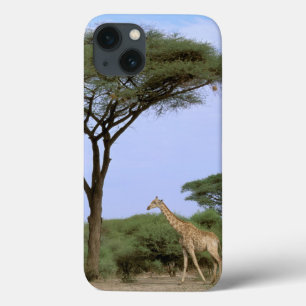 Africa, Botswana, Okavango Delta. Southern iPhone 13 Case